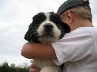 Oliver and WB P pup