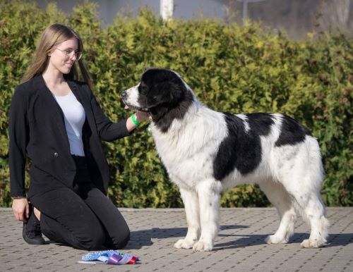 White'n Black Tahitian Pearl